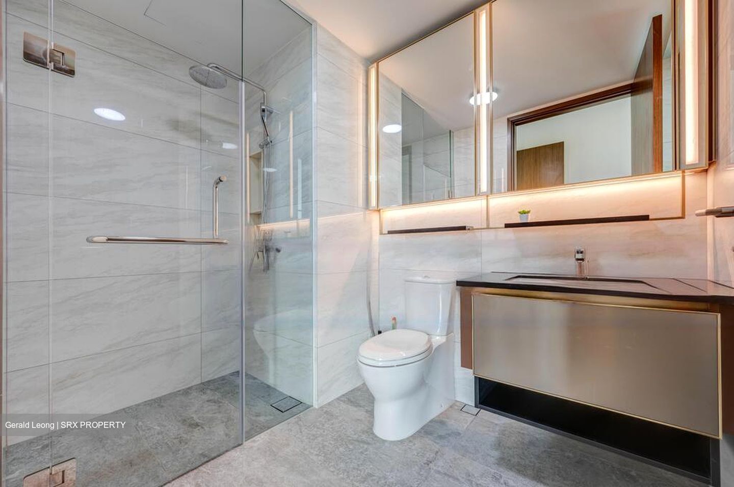 Normanton Park (D5), Apartment #510029151